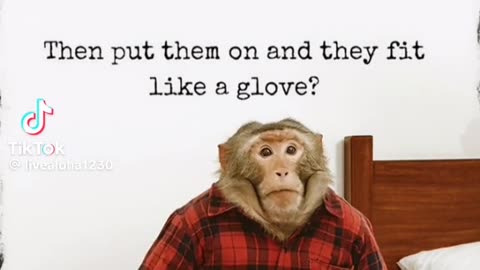 🤔 PUTTING WEIGHT😆 ON?