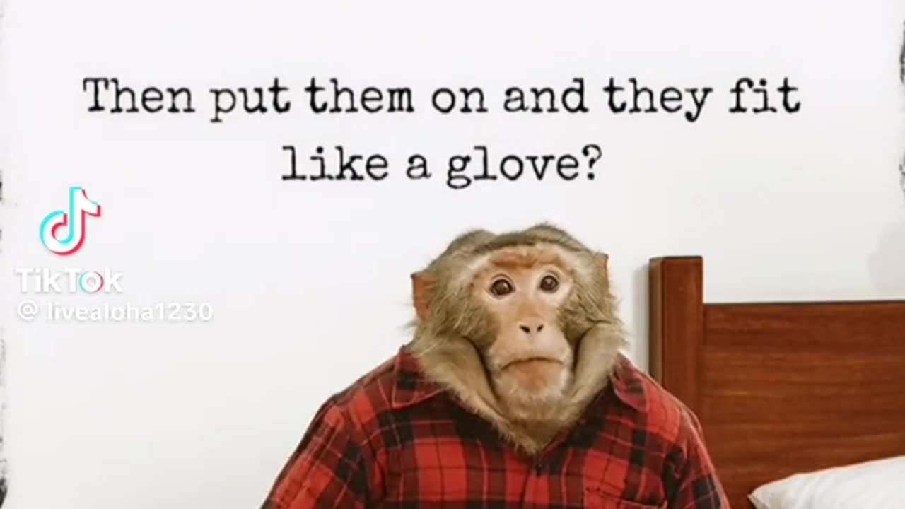 🤔 PUTTING WEIGHT😆 ON?