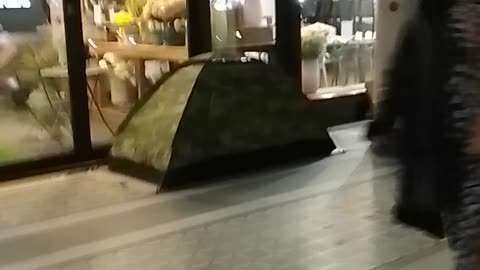 London tents 2