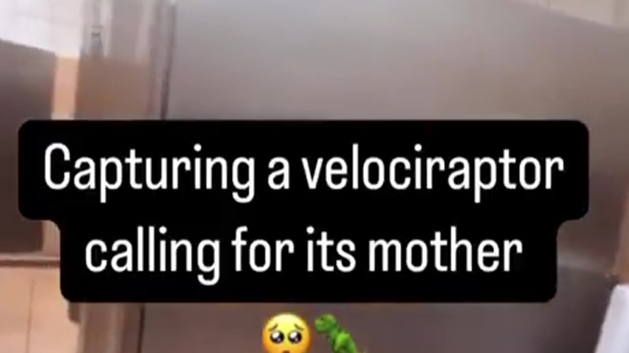 Ever heard a real Velociraptor??? Check this out...