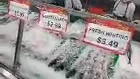 catfish killer in Atlanta LOL, THE SHEA SHOW