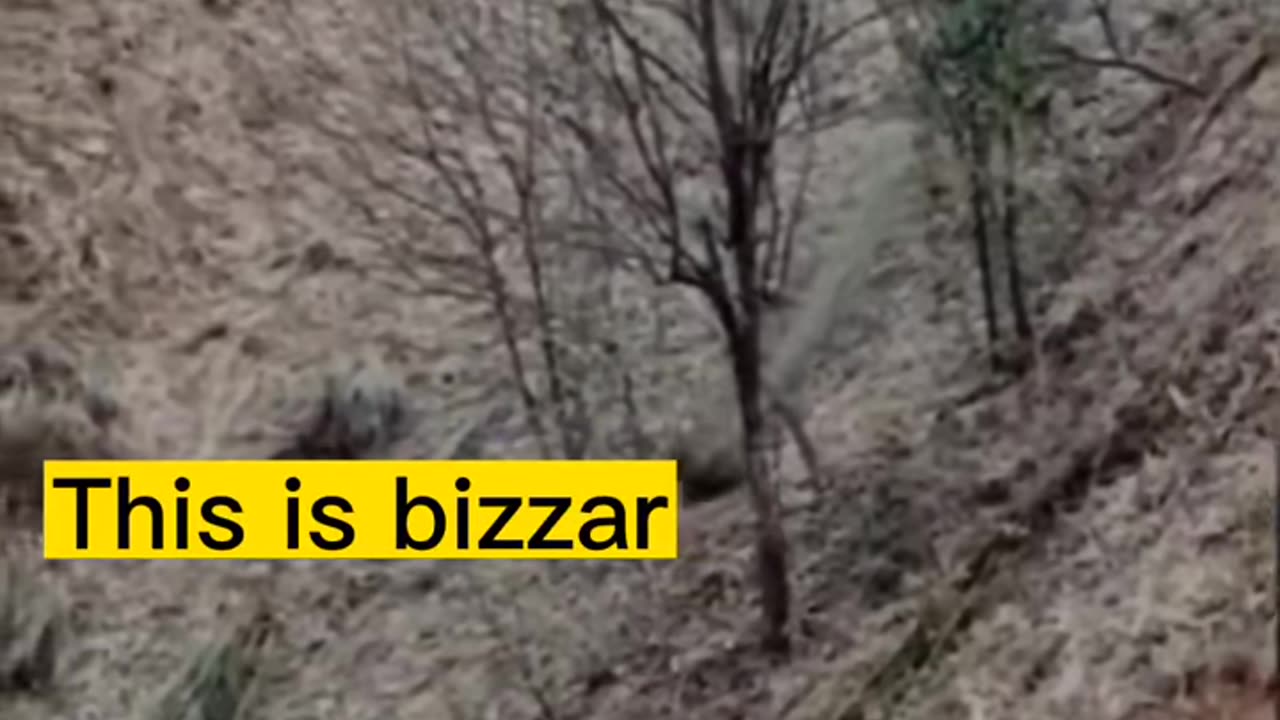 🧐👹 What Is That Creature in the Shadows? | TheHauntingHour