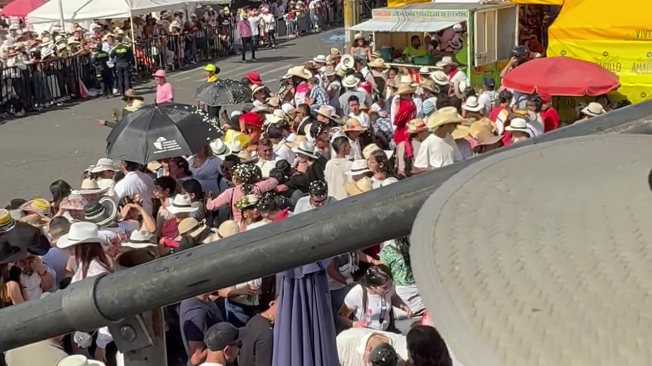 Can't Disturb This Little Pup's Peace