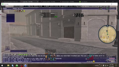 Playing Final Fantasy XI Online