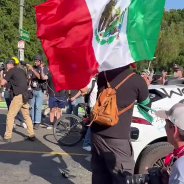 Los Angeles Protestors