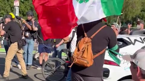 Los Angeles Protestors