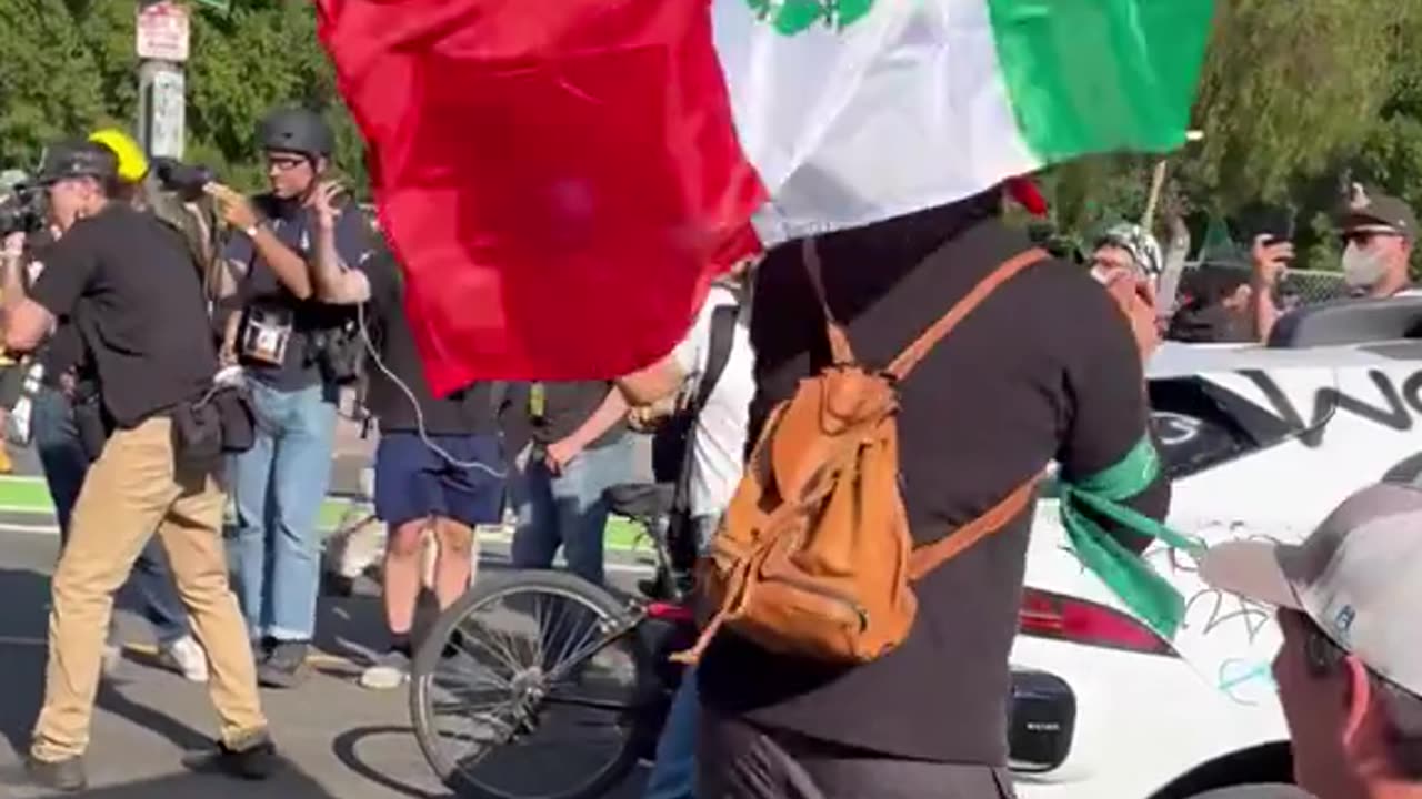 Los Angeles Protestors