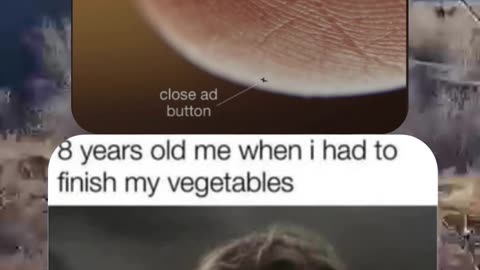 Memes of the day | funny memes | #funny