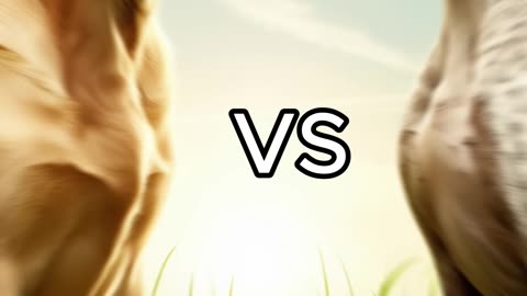 Rottweiler Puppy vs Pitbull puppy ( German Shepherd, Husky, Doberman, labrador retriever, Pointer).