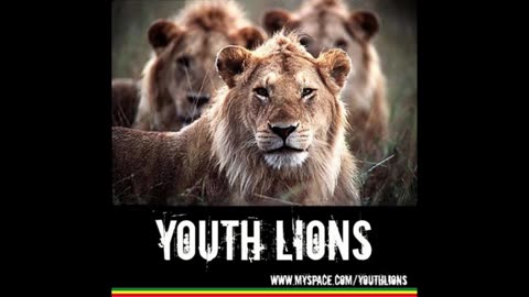 Youth lions - Youth lions