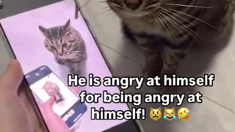 😂🤣 Wunk's Greatest Enemy is Himself! | FunFM