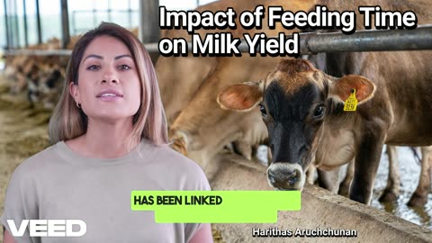 Maximizing Milk:The Feeding Time Secret
