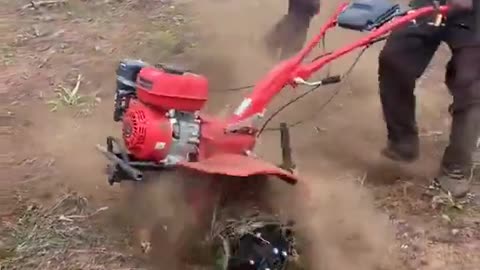 African farmers.