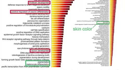 Race is not about skin colour