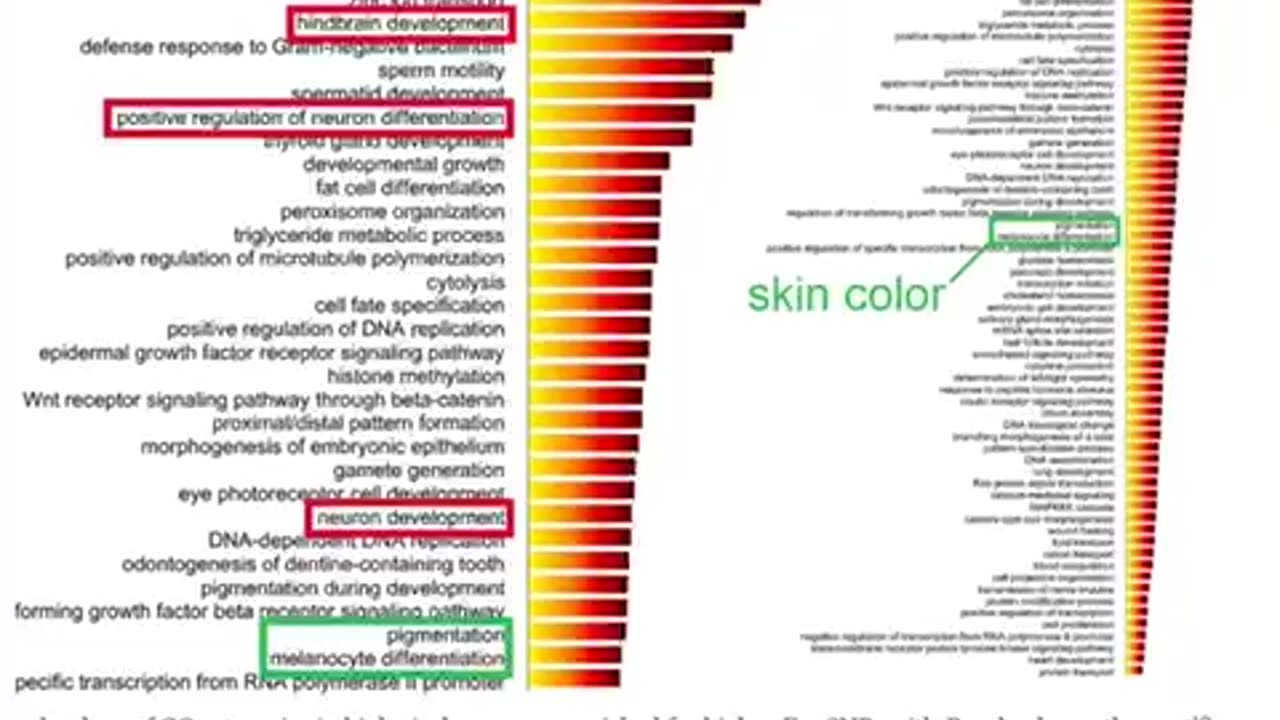 Race is not about skin colour