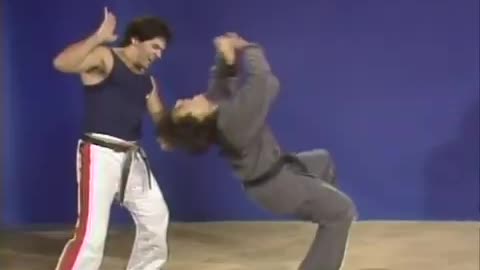 Hapkido Cane