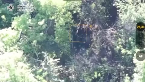 💥Border guards of the "Phoenix" RUBpAK of the "Pomsta" brigade destroyed