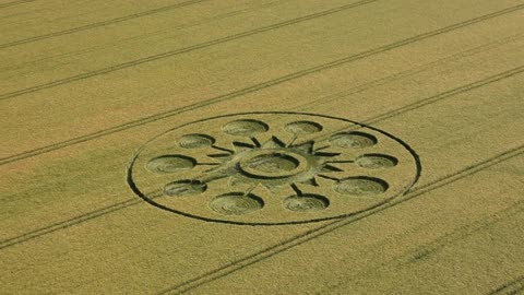 Third Crop Circle 2025 Falkner's Circle Avebury Wiltshire 8th June
