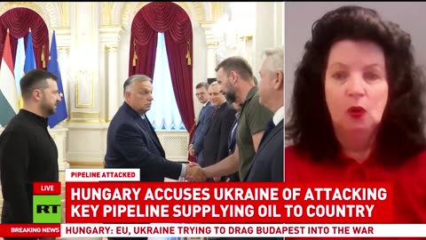 'Terrorism act' — Sonja van de Ende on Ukraine's strike on Hungary's oil pipeline