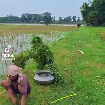 Crazy right here lol!