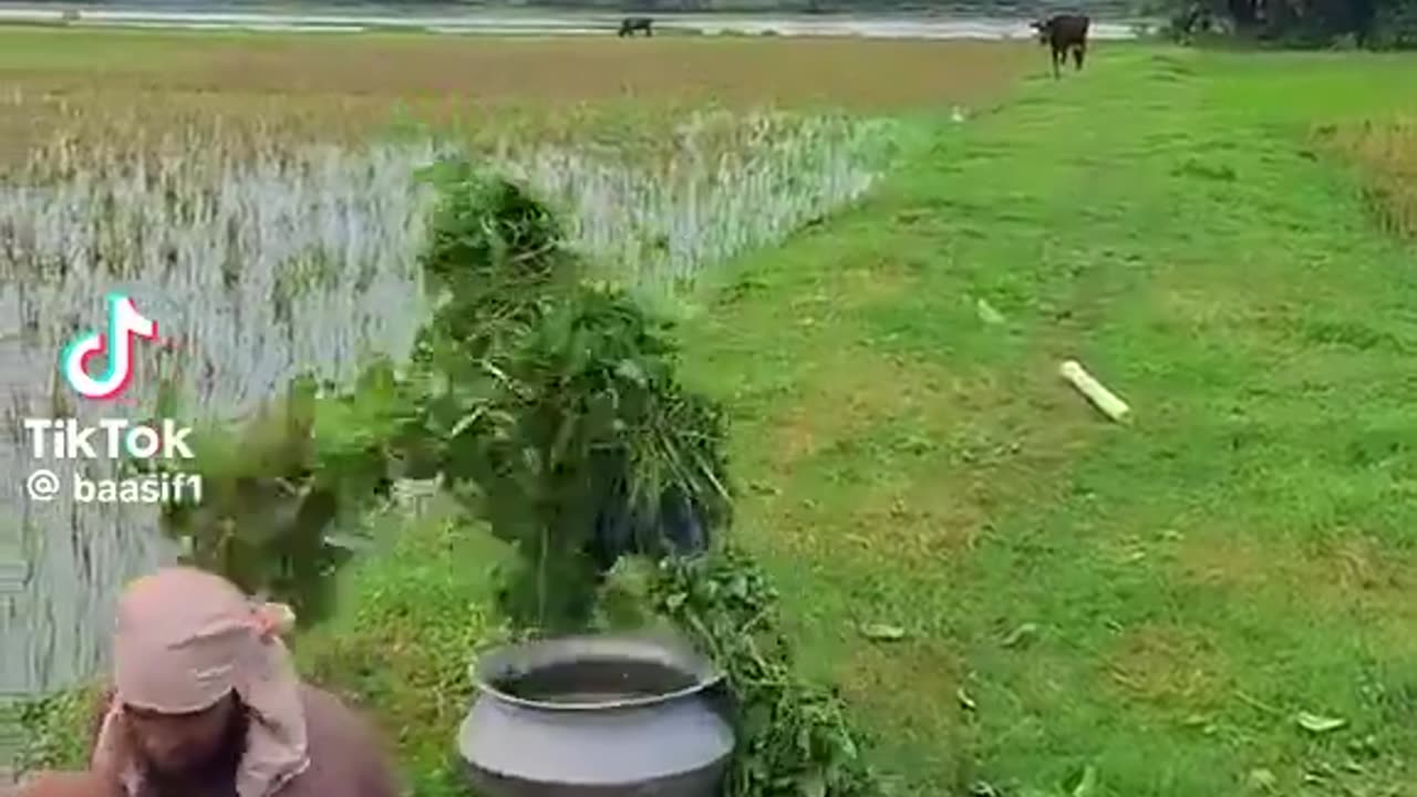 Crazy right here lol!