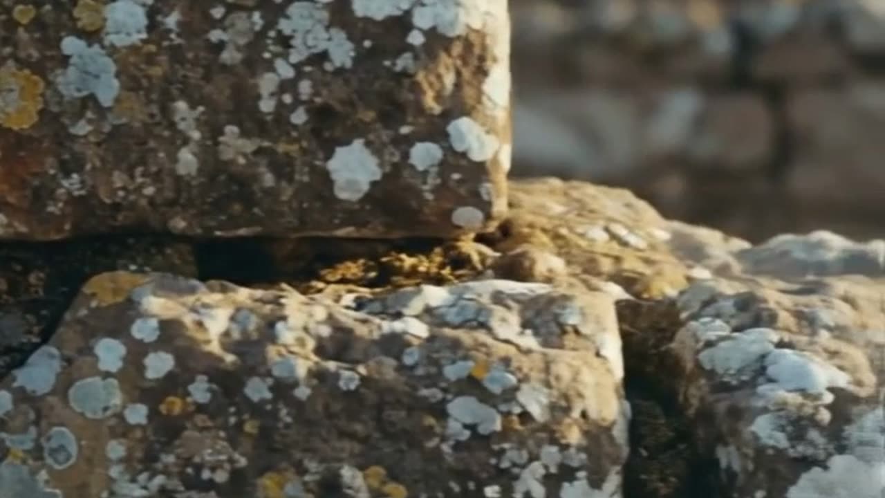 Stonewall Speak The Truth Holds Firm