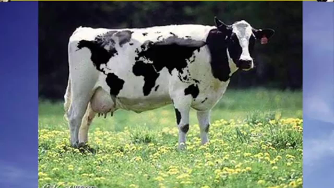 Red Meat is Green! Presentation by Peter Ballerstedt