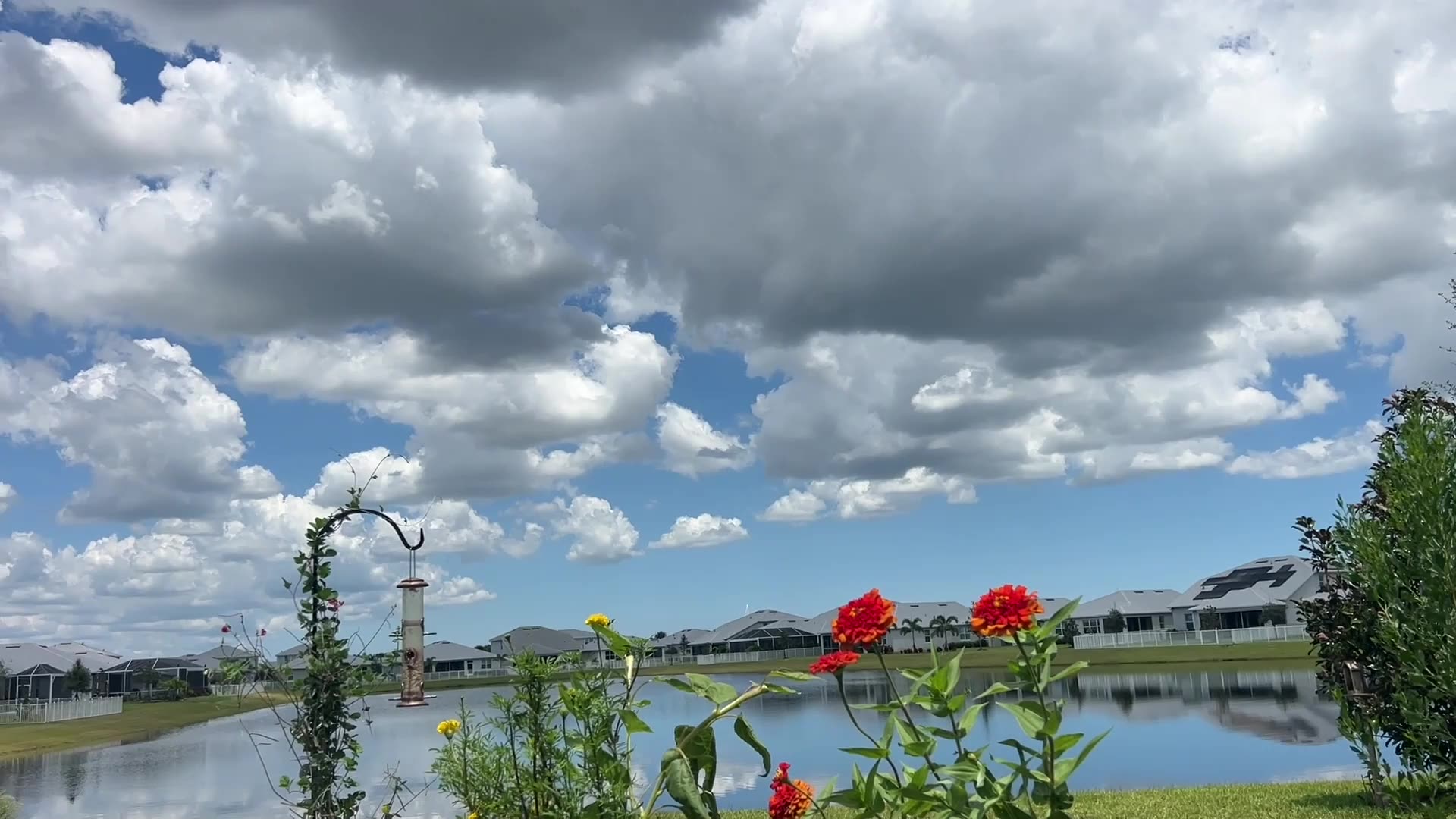 Earth’s Circadian Rhythm