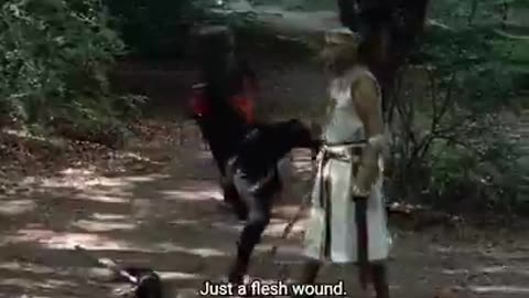 🎥Monty Python and the Holy Grail