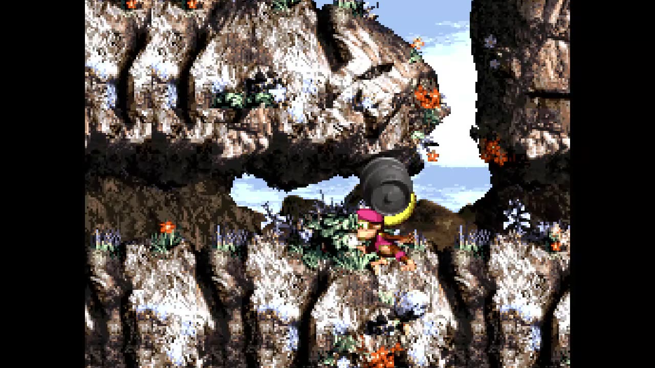 Donkey Kong Country 3 - Part 25