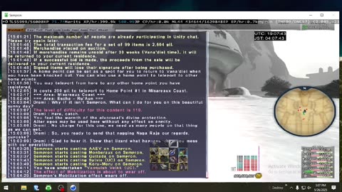 Playing Final Fantasy XI Online