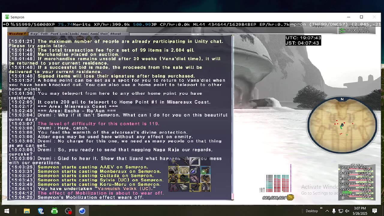 Playing Final Fantasy XI Online