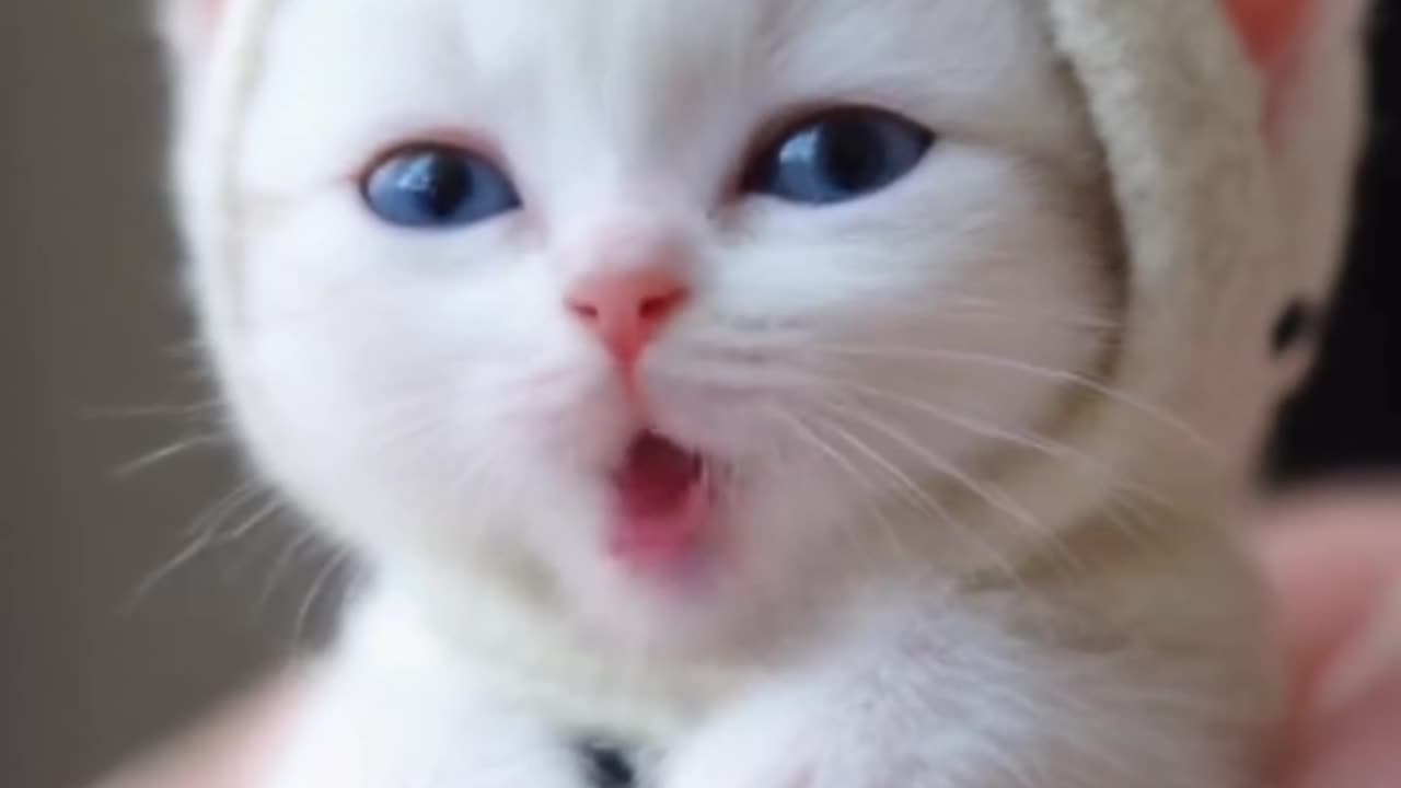 You Gonna Need A Little Love (CC)