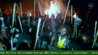 Qophii Addaa ONM-ABO Sadaasa 20-2025 itti dhiyaadhaa!