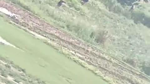 🛸🌿 Myanmar War | Yangon PDF Rebels Raid Junta Camp Caught on Fisheye Video | RCF