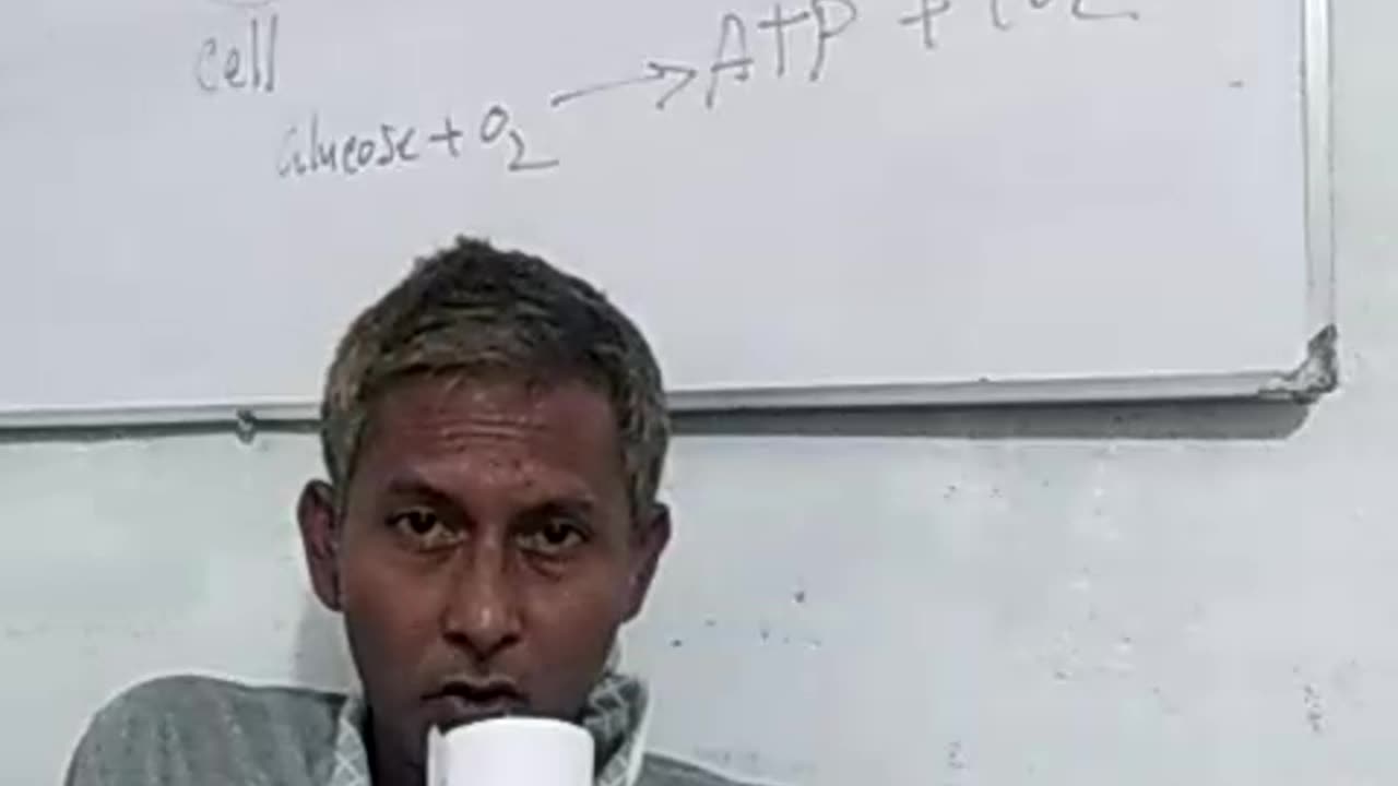 Diabetes melitus