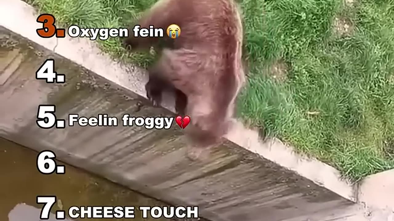 Funniest Medazelliš¤£