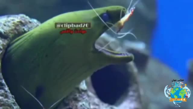 wonders of the world