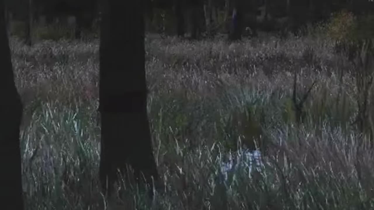 SAKHAL'S NIGHT PvP IS TERRIFYING