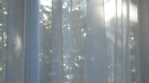 Daily Horoscope | Pisces 🌟