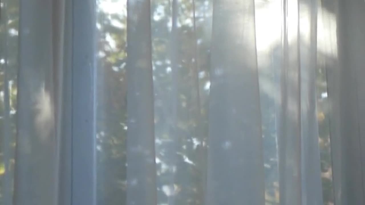 Daily Horoscope | Pisces 🌟