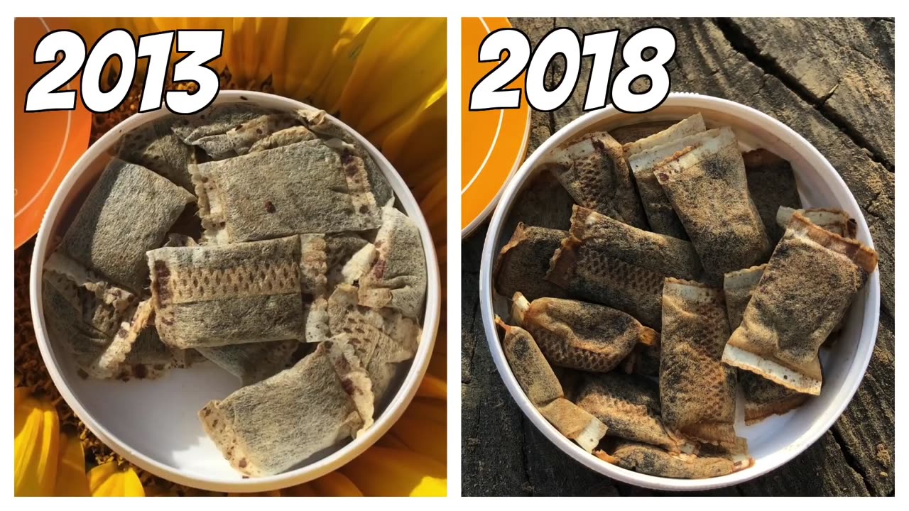 WOW! Sunny Honey Snus Review