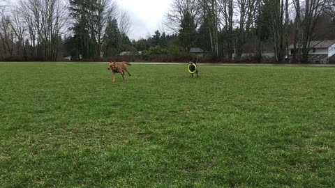 hoop chase 32980432098409323