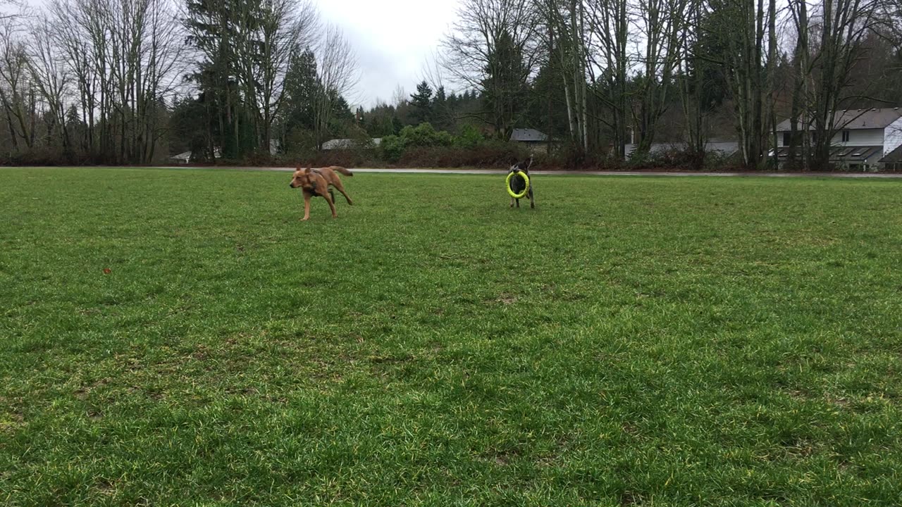 hoop chase 32980432098409323