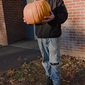 🎃 #professionalwrestling #prowrestling #Wrestling #SportsEntertainment #WWE #WWENXT #AEW #TNA