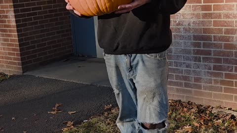 🎃 #professionalwrestling #prowrestling #Wrestling #SportsEntertainment #WWE #WWENXT #AEW #TNA