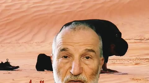 Mektoub ! C'est écrit ! - 699