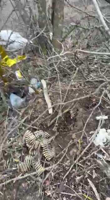 Ukraine war 3/31/25 kursk