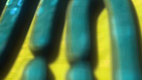 DIGITAL ID: "Friendly hackers found they could take control of the system"