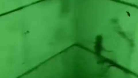 😱👻 You Won't Believe What They Caught on Camera! Ouija Board | TheHauntingHour